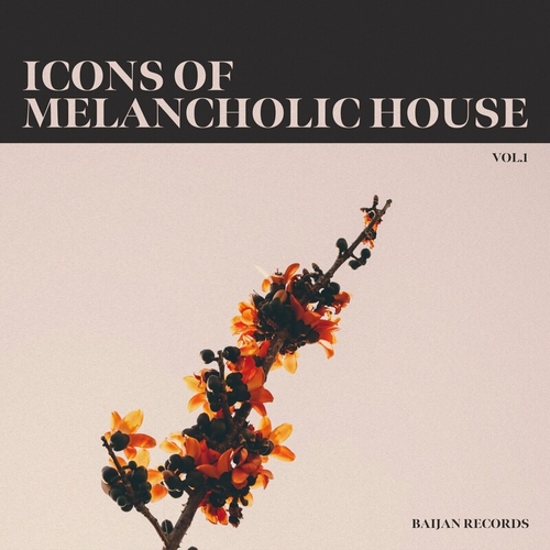 VA - Icons of Melancholic House, Vol. 1 [BJNCMPLTN001]